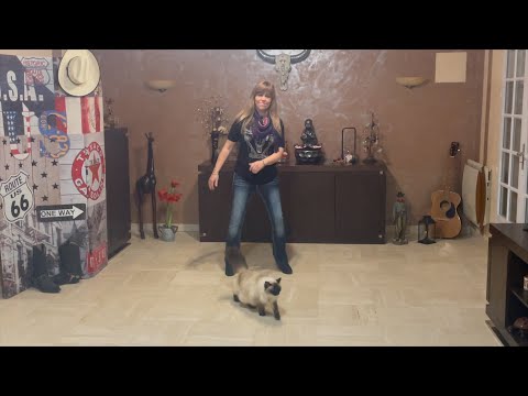 Cocaïne - Country Line Dance (Tuto et Démo)